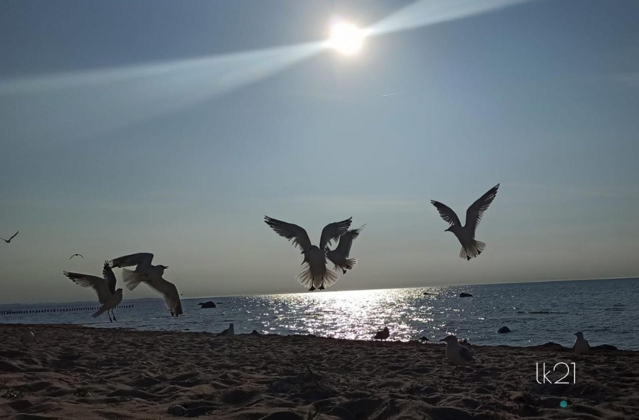 Fewo Abendrot Insel Poel Ngoại thất bức ảnh
